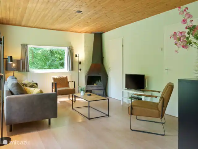 Woonkamer met open haard